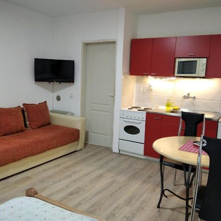 Apartman 4 - Studio Janja Soko Banja Dış mekan fotoğraf