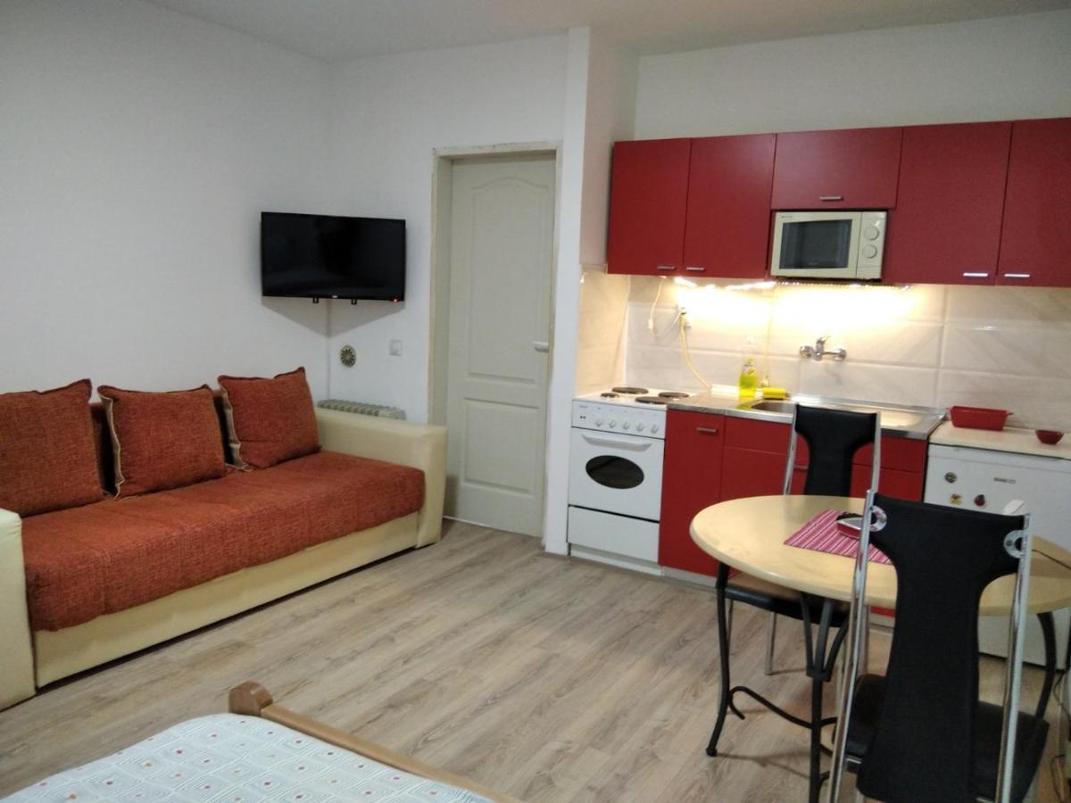 Apartman 4 - Studio Janja Soko Banja Dış mekan fotoğraf
