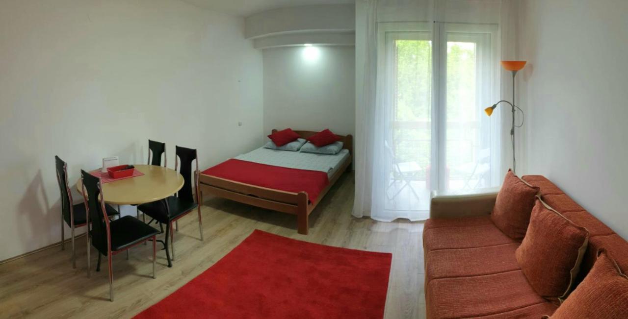 Apartman 4 - Studio Janja Soko Banja Dış mekan fotoğraf